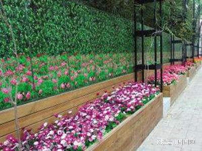 花卉园艺师证报考指南 报名流程、考试内容及费用全解析